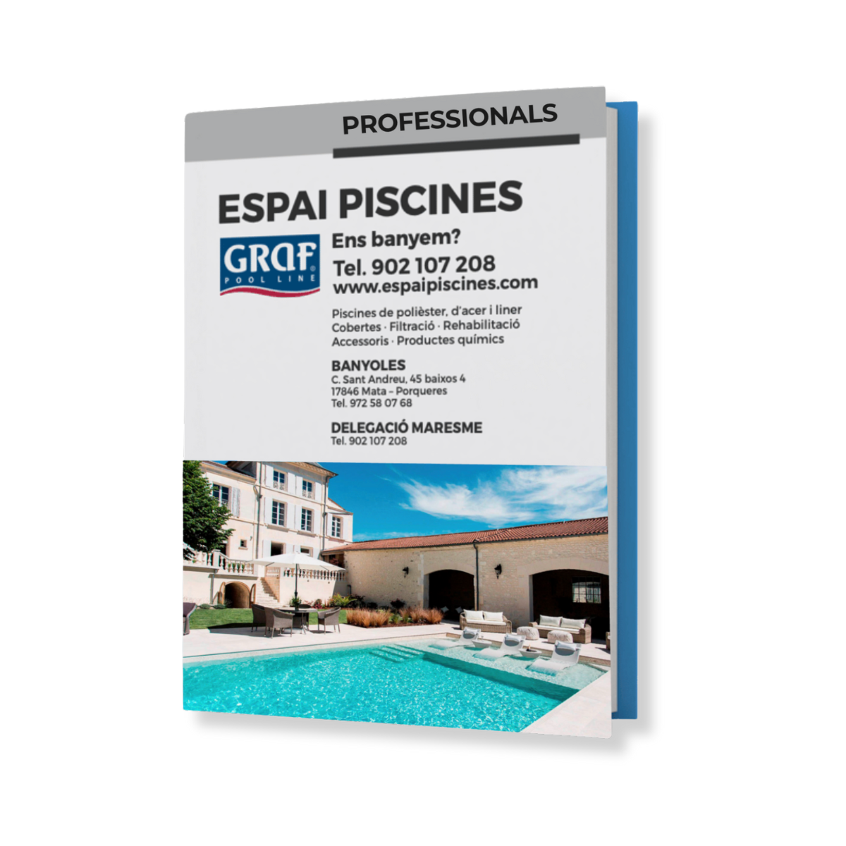 CA Mockup professionals